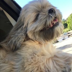 Meet your Posher, Dan